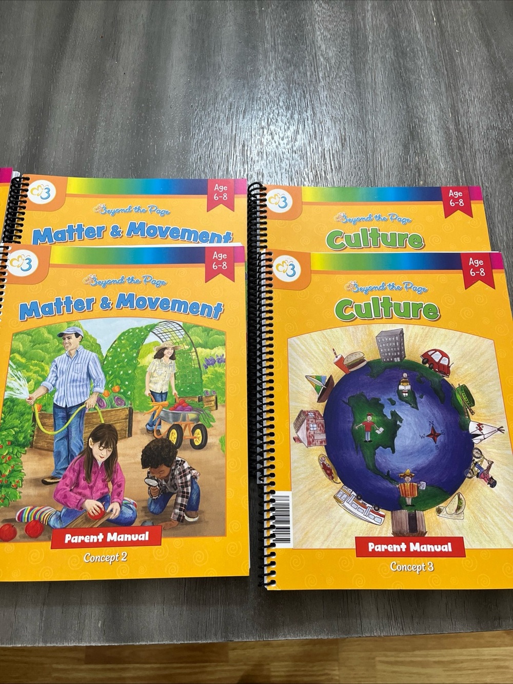 Moving Beyond The Page Homeschooling Curriculum (Set of 4) - Picture 4 of 8